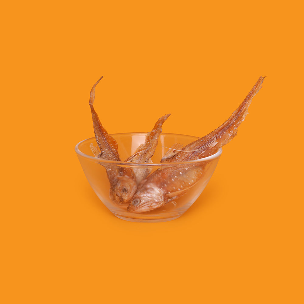 Whole anchovies dehydrated fish chew for dogs