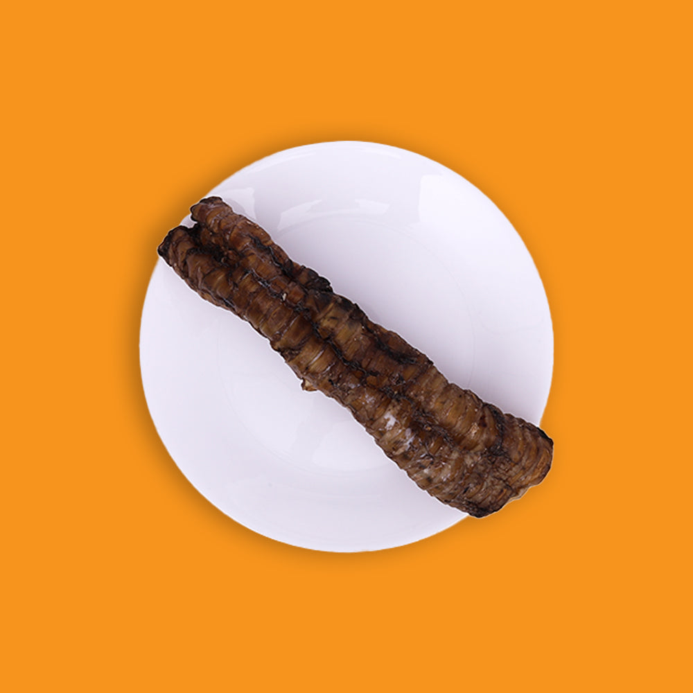 buffalo trachea chew large size by Barker's Dozen Pet Bakery