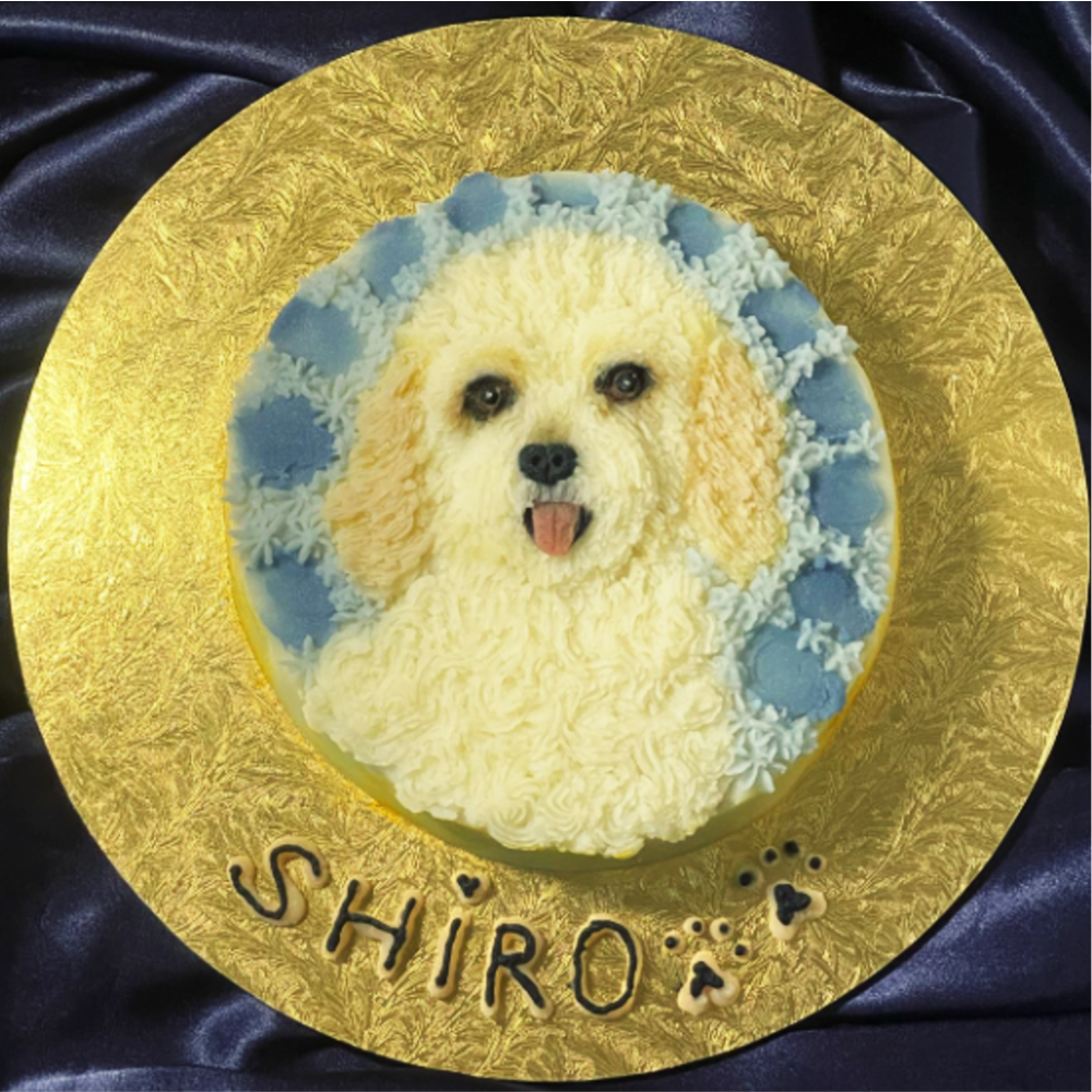 Toy poodle shaped cake for dogs by Barker's Dozen Pet Bakery