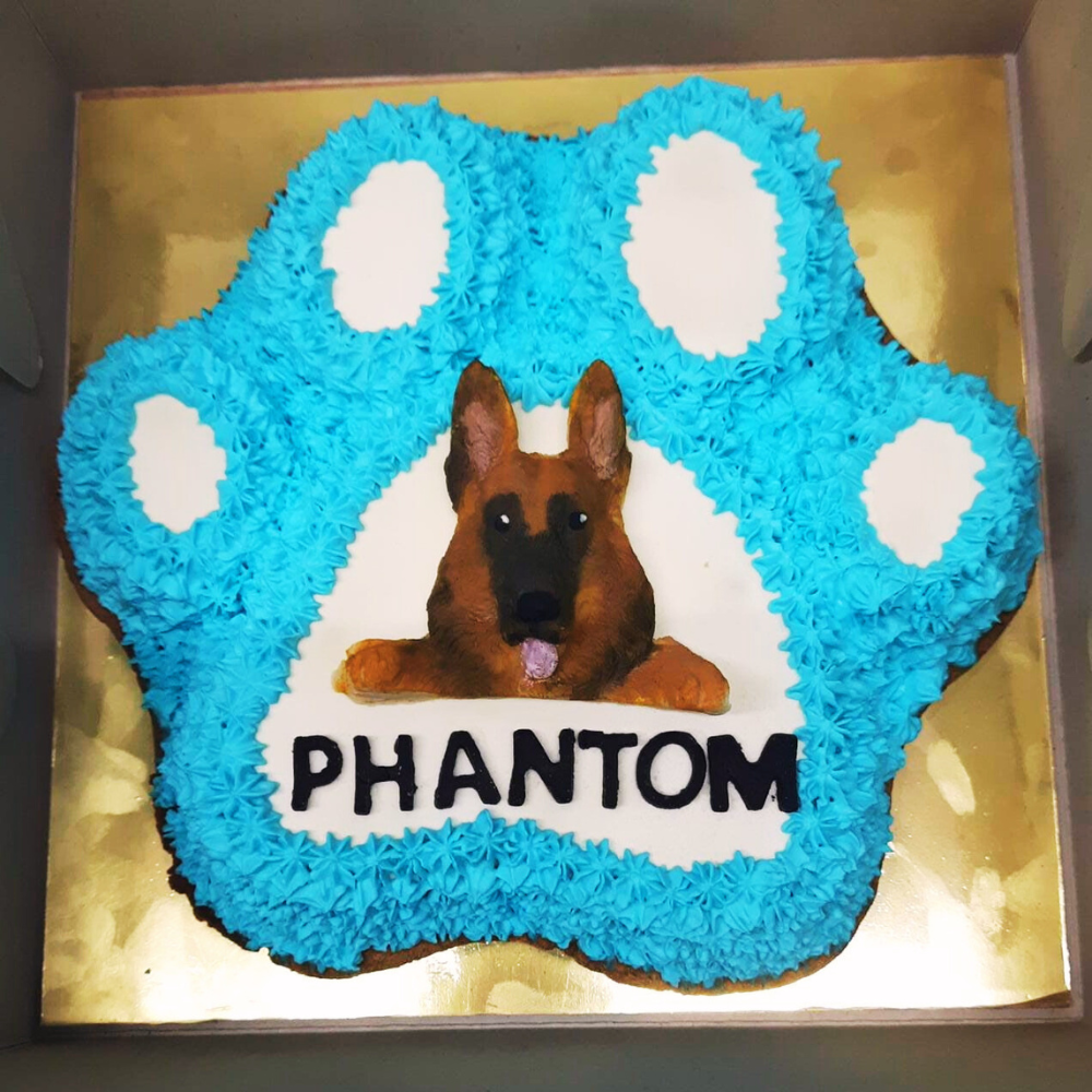 Alsatian face shaped cake by Barker's Dozen Pet Bakery