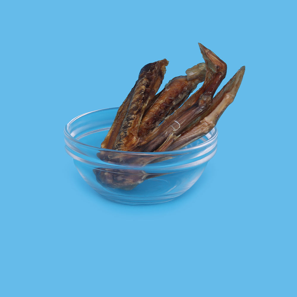 Duck Wings (Pack of 4)