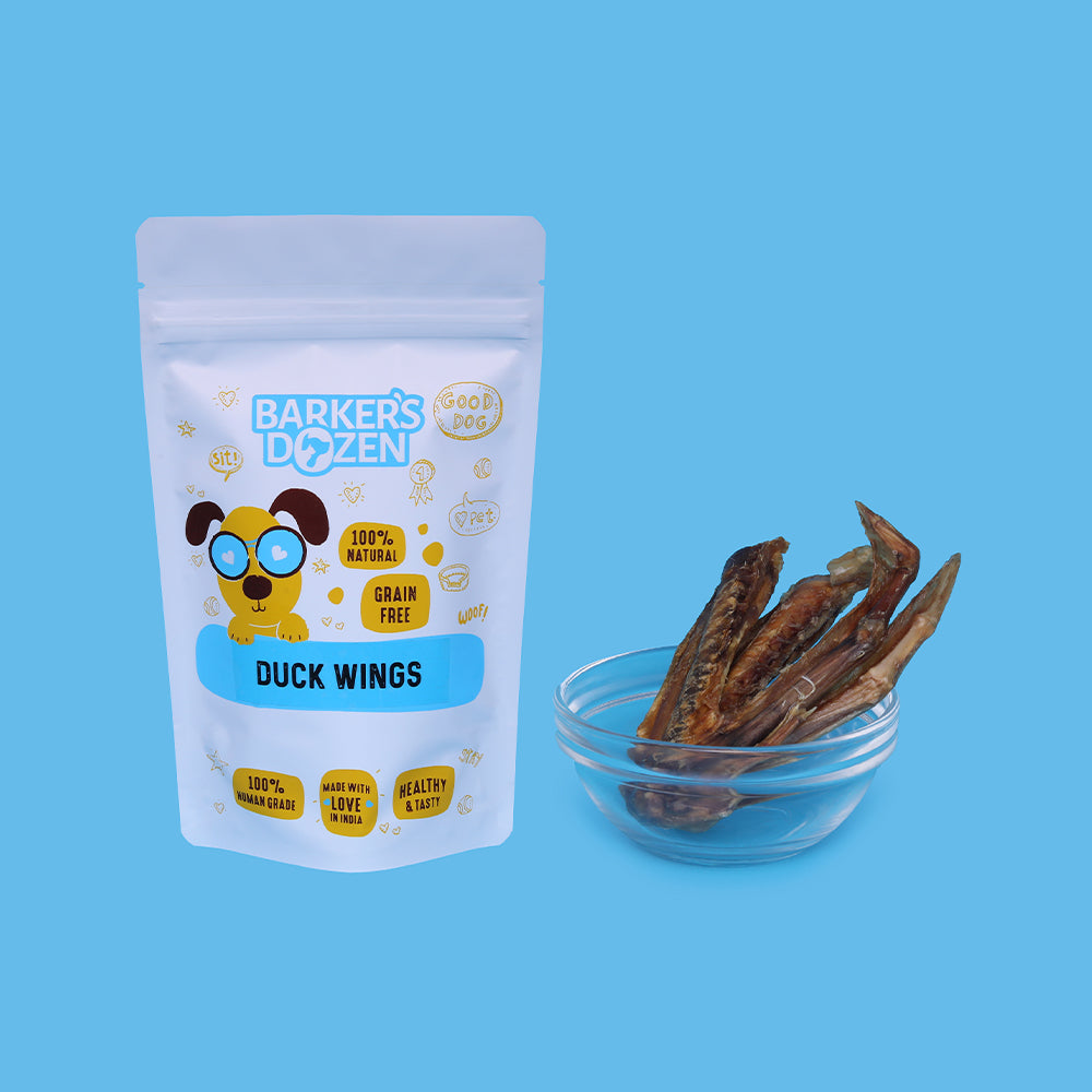 Duck Wings (Pack of 4)