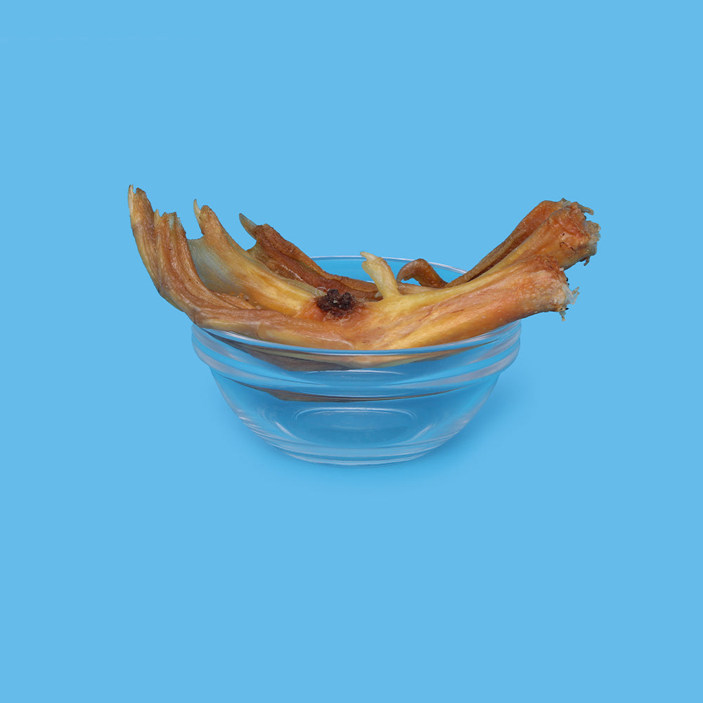 Duck Feet (Pack of 4)