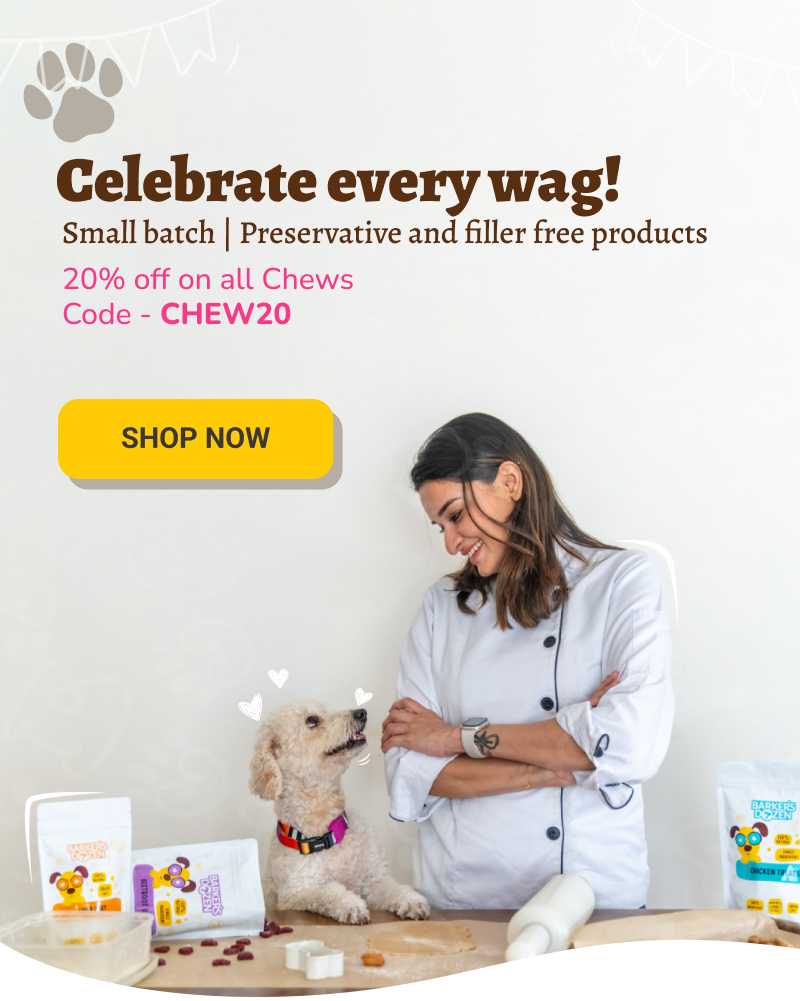 Dog Cakes, Premium jerkies, treats and chews made with human grade ingredients and no nasties.