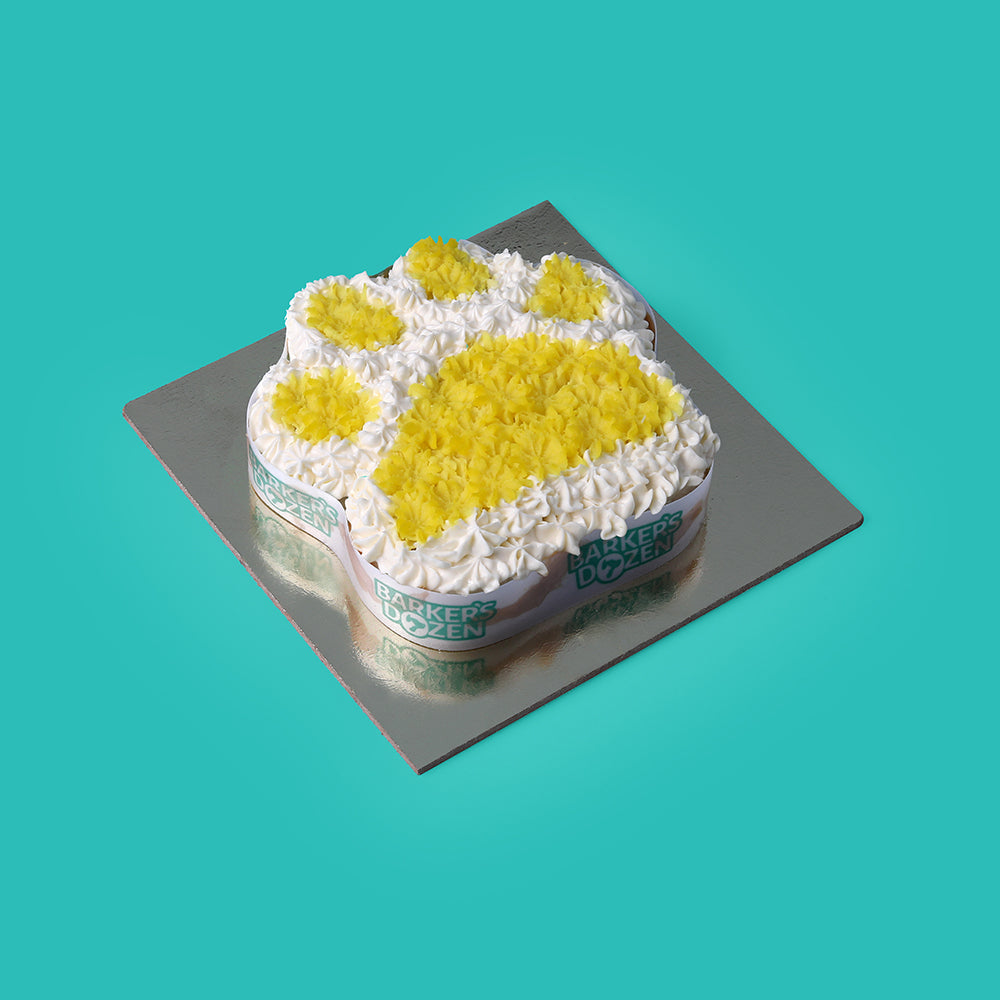Personal Paw Delight: Dog Cake in Various Flavors Pet Bakery