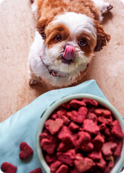 Buy Meal Toppers for Dogs at best prices online. Click to shop