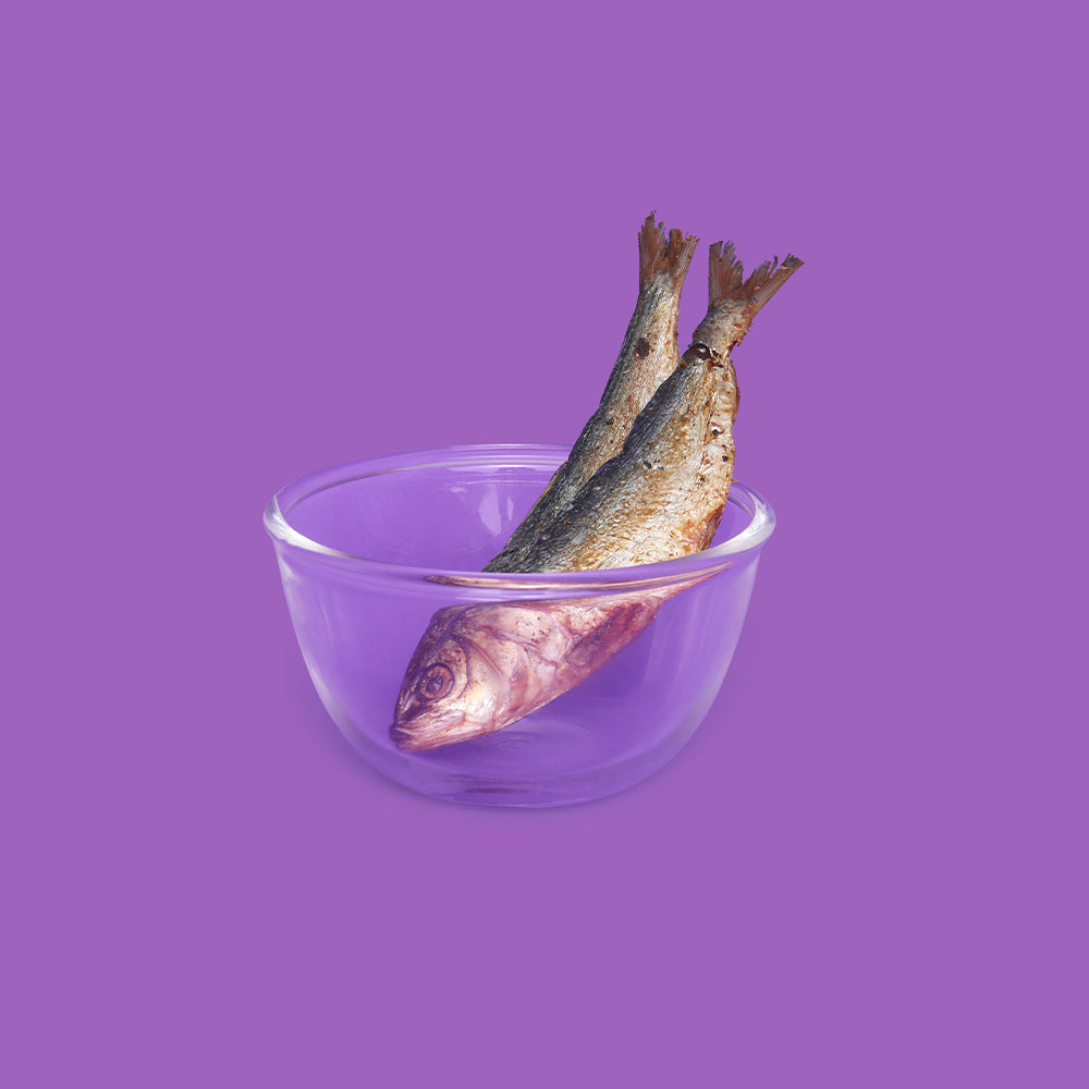 Whole Sardines Dehydrated (Pack of 4)