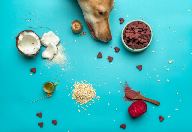 healthy ingredients in dog treats