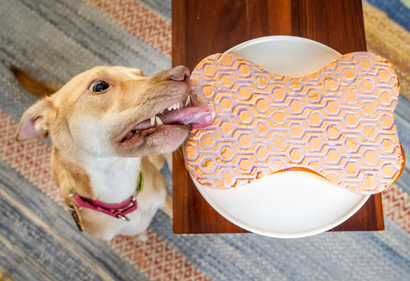 How to order cake for dog birthdays and celebration. Barker's Dozen Pet Bakery