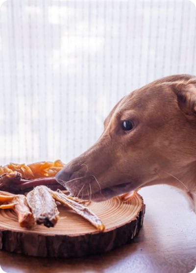 Natural Dog chews by Barker's dozen pet bakery