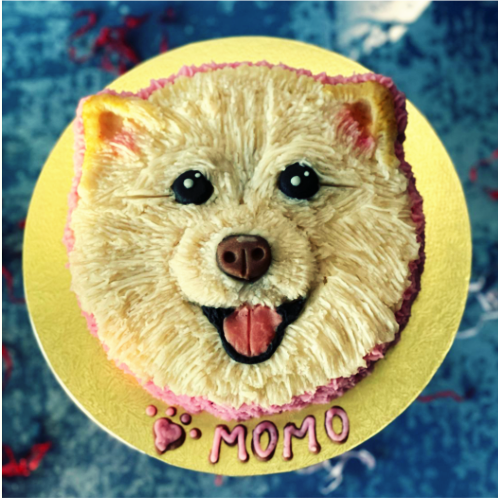 Dog face portrait cake by Barker's Dozen Pet Bakery