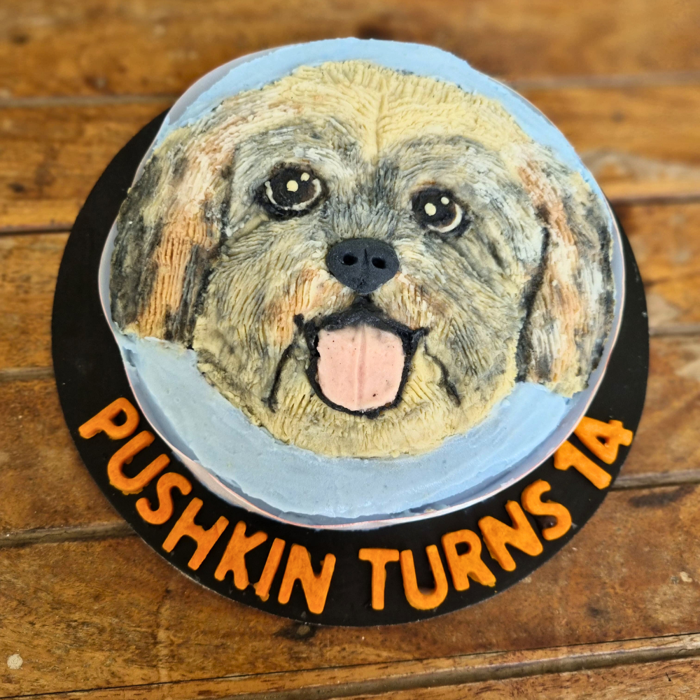 Hand painted Shih tzu dog face cake made with dog friendly ingredients, by Barker's Dozen pet bakery