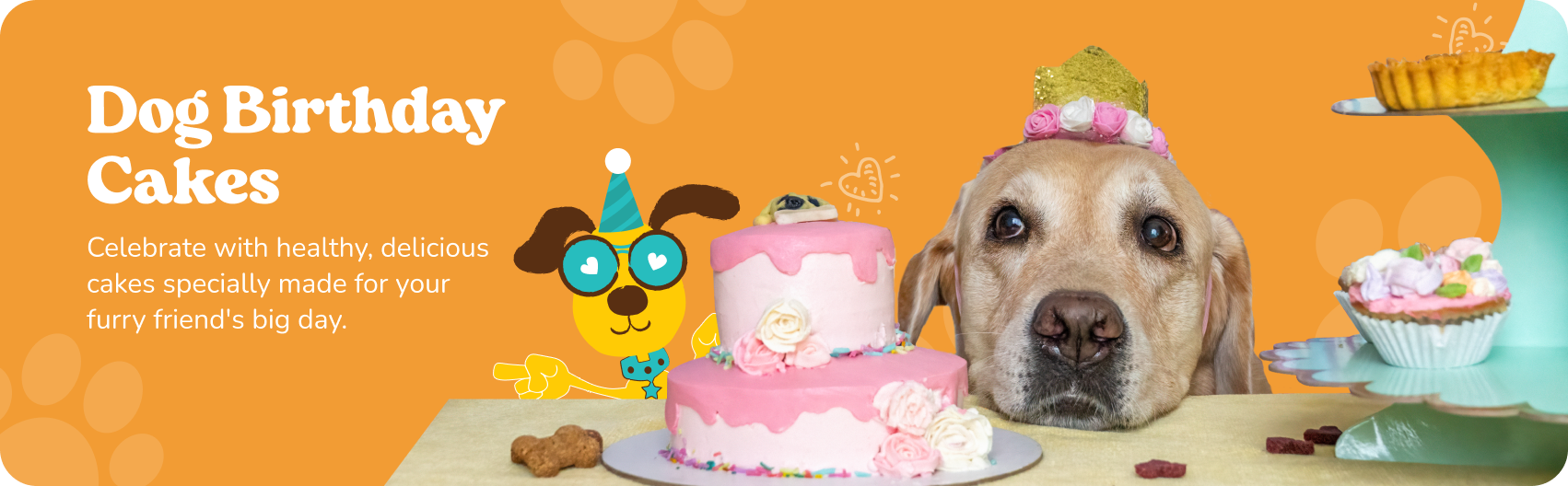 dog birthday cake, cake for dogs