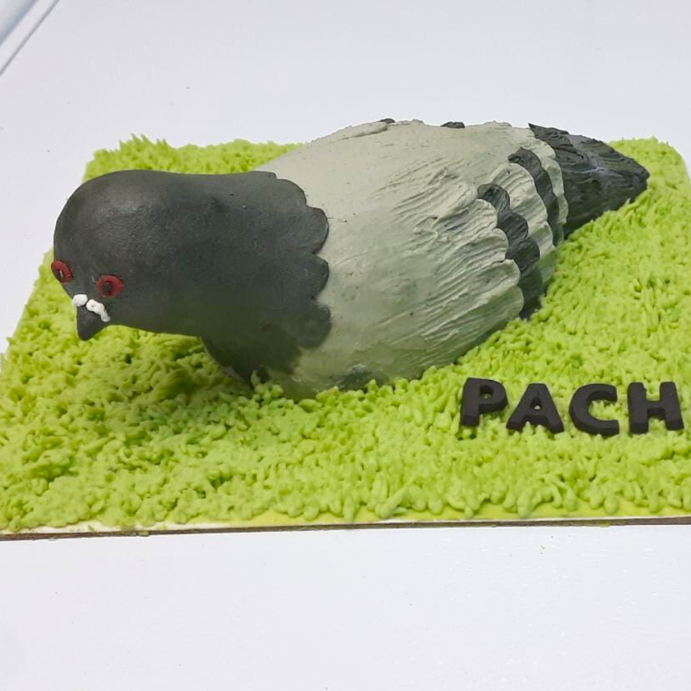 Pigeon bird themed cake for dog birthday made with dog safe ingredients by Barker's Dozen pet bakery